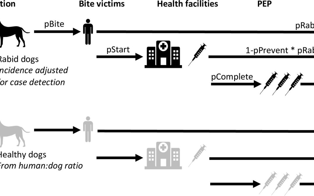 Tracing Rabies And Communities’ Experiences (TRACE)